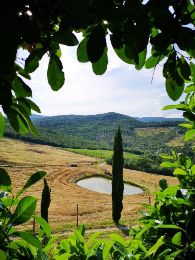 Agriturismo Selvella Allerona Buitenkant foto
