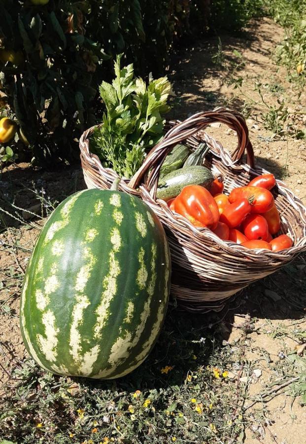 Agriturismo Selvella Allerona Buitenkant foto