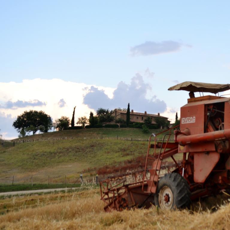 Agriturismo Selvella Allerona Buitenkant foto